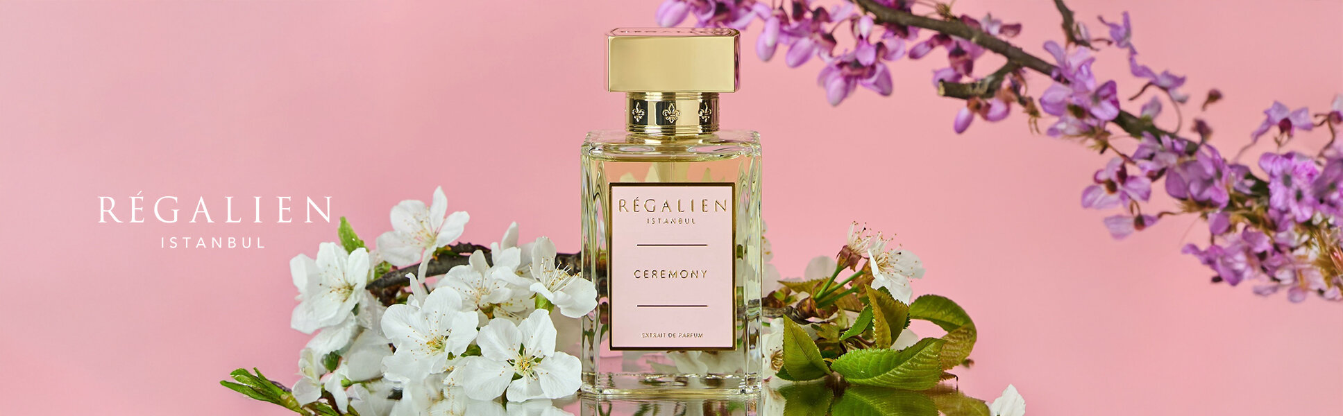 Imagen de Banner principal