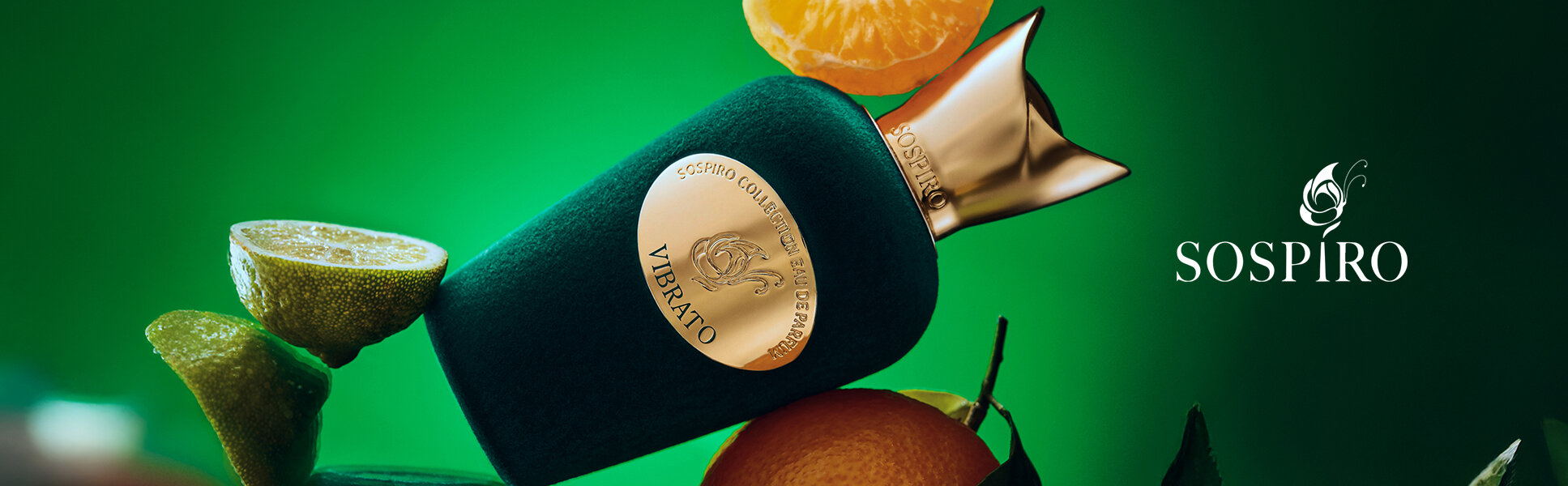 Imagen de Banner principal